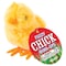 Toysmith Toysmith Fuzzy Chick Wind Up Toy Plastic 1 pk 2031 - alternate 2